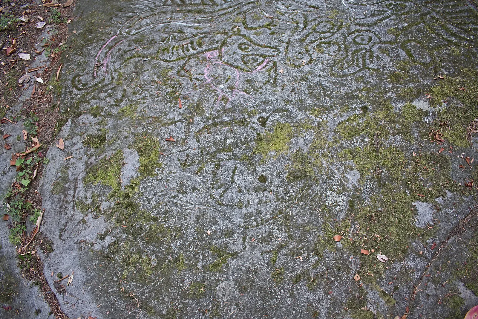 Petroglyph Provincial Park